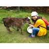 mature asian hookup Dornbirn